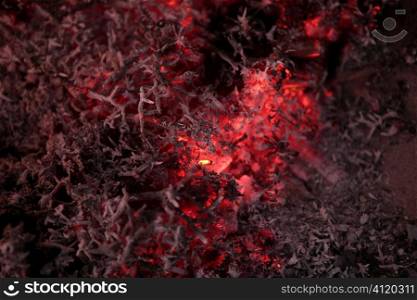 Embers texture, wood in fire