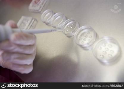 Embryologist adding sperm to egg