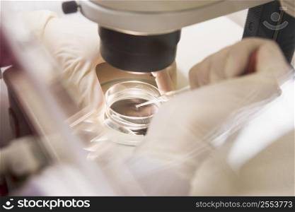 Embryologist transferring egg to a special culture media (selective focus)