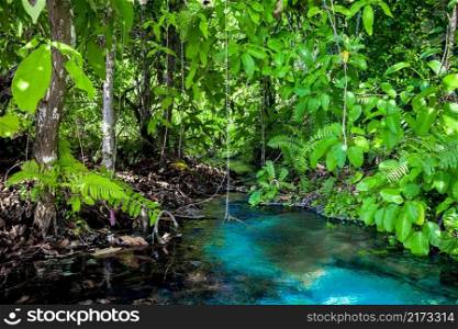 Emerald blue Pool. Krabi, Thailand. Amazing blue water in the beautiful lake at the forest. Emerald Pool