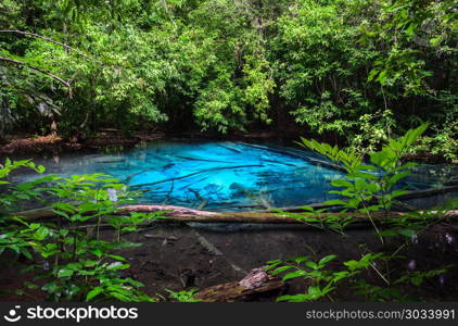 Emerald blue pool (Sra Morakot) in Krabi province, Thailand. Emerald blue pool (Sra Morakot) in Krabi province, Thailand. Beautiful nature scene of crystal clear blue water in tropical rainforest.