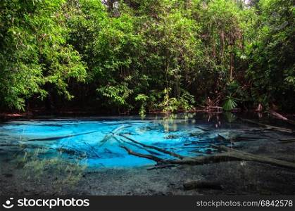 Emerald blue pool (Sra Morakot) in Krabi province, Thailand. Beautiful nature scene of crystal clear blue water in tropical rainforest.