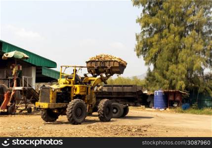 Employees are using forklifts to scoop up wood chips from piles of wood shredded by wood chippers to fuel factories, deforestation concepts and greenhouse effect.
