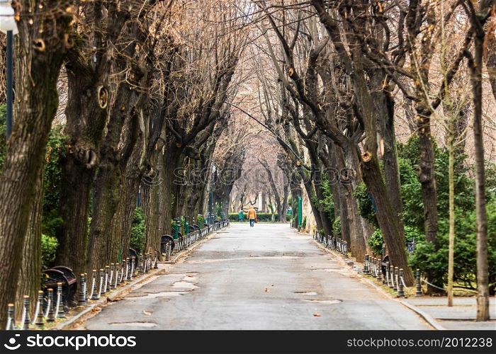 Empty alley in Cismigiu park in Bucharest, capital city of Romania