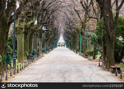 Empty alley in Cismigiu park in Bucharest, capital city of Romania
