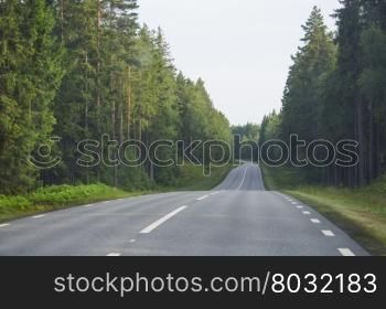 Empty asphalted forest road turn, Dalsland, Sweden in the summer.