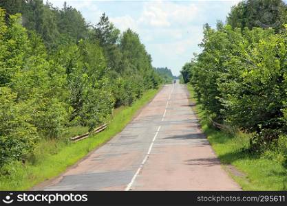 Empty asphalted road and green roadsides with bushes. Empty highway. Overgrown highway. Road with dense vegetation on sides. Natural summer landscape with asphalt road and green roadsides. Empty asphalted road and green roadsides with bushes. Empty highway