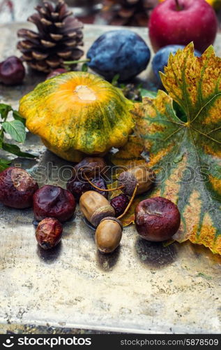 Empty autumn pinecone,acorns and chestnuts on metal surface