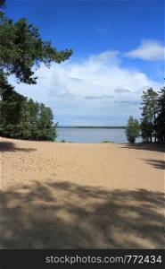 empty beach on the lake among pines trees