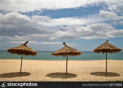 Empty beach with straw umbrellas with ocean and blue sky in background