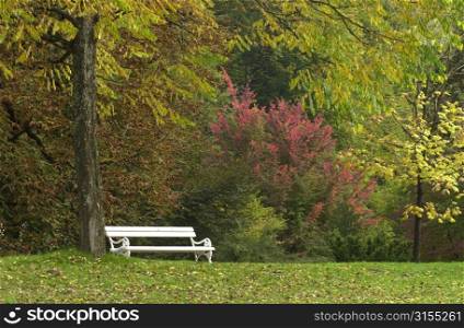 Empty bench at a park in Slovenia