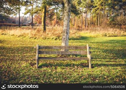 Empty bench in a park in the fall with autumn leaves in the grass and trees in the background