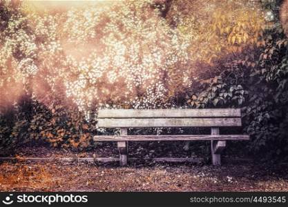 Empty bench in autumn garden or park, outdoor nature