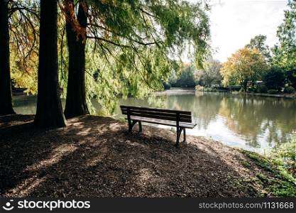 Empty bench on the shore of lake framed by trees with beautiful view