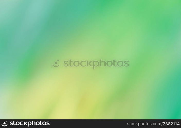 Empty blurred city park background. Green blurred background. Natural green background. Fresh natural green bokeh effect background