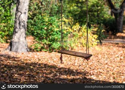 empty children rope swing in the autumn park