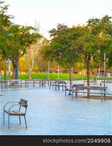 Empty city park, trees and benches, no people. Barcelona, Spain