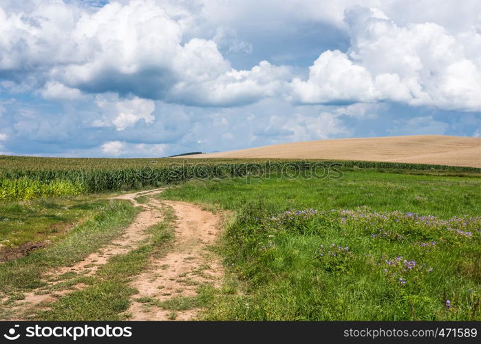 Empty countryside road through fields with wheat and green grass