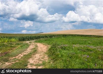 Empty countryside road through fields with wheat and green grass