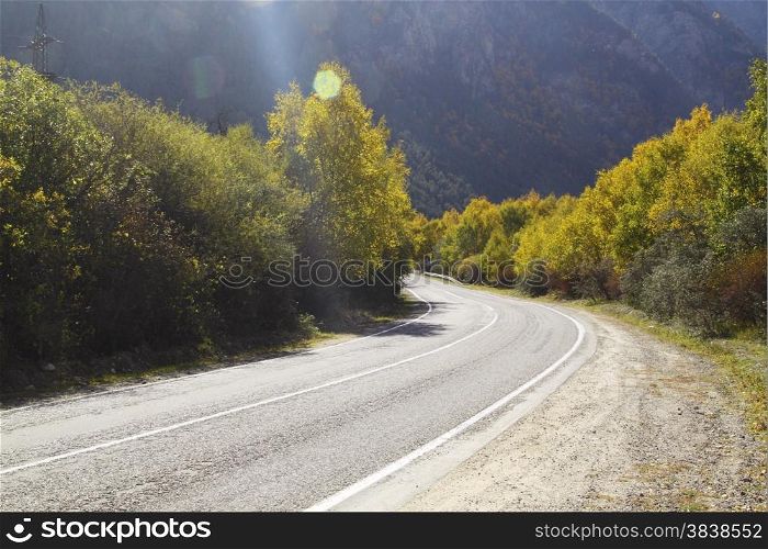 Empty curved asphalt road, trees with yellowed leaves blue sky and sun.