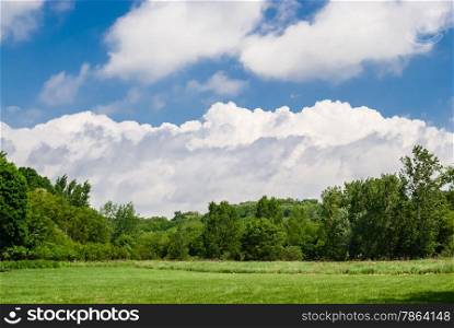 Empty field leading into forest against fluffy clouds and sky.