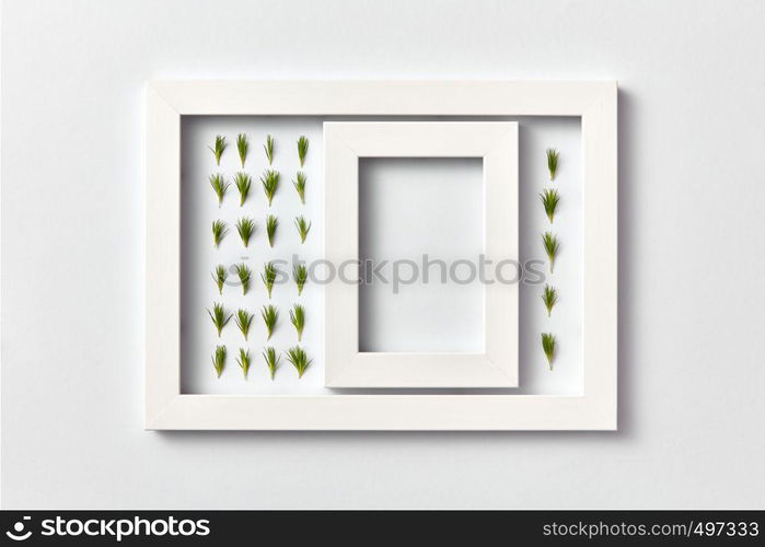 Empty frame with copy space and herbal pattern of young pine needles in a rectangular frame on a light gray background, place for text. Flat lay. Greeting card. Plant picture of pine twigs needles and empty frame on a light background.