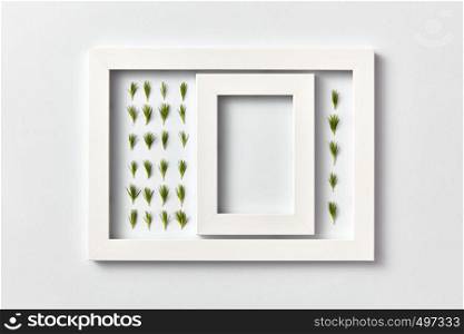 Empty frame with copy space and herbal pattern of young pine needles in a rectangular frame on a light gray background, place for text. Flat lay. Greeting card. Plant picture of pine twigs needles and empty frame on a light background.