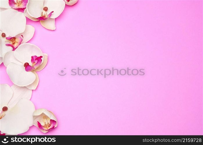 Empty frame with flowers on pink pastel background with copy space.. Empty frame with flowers on pink pastel background with copy space