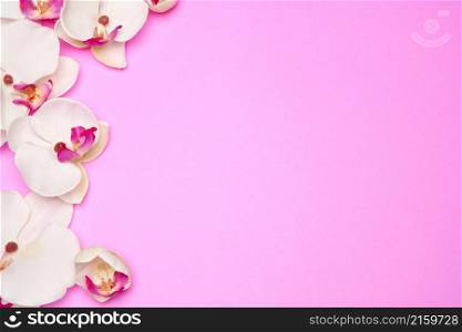 Empty frame with flowers on pink pastel background with copy space.. Empty frame with flowers on pink pastel background with copy space