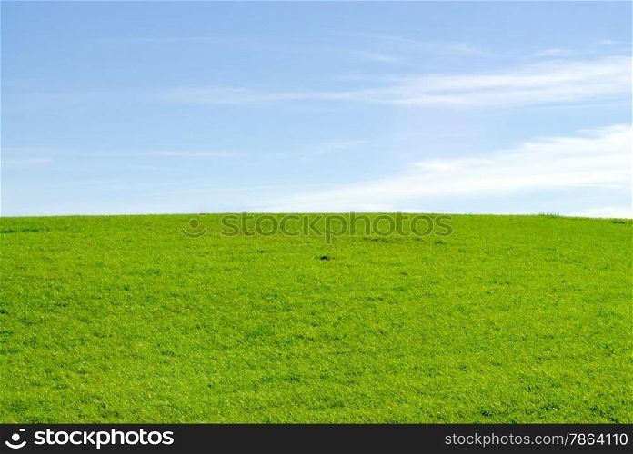 Empty green meadow horizon against blue sky.