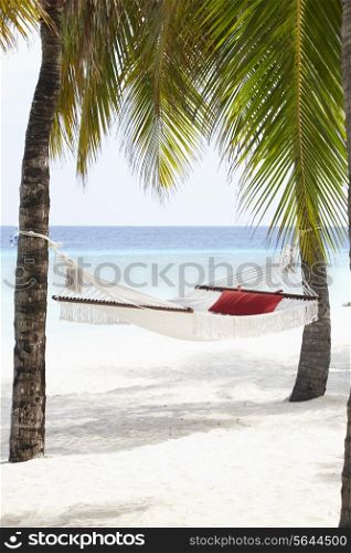 Empty Hammock Between Palm Trees