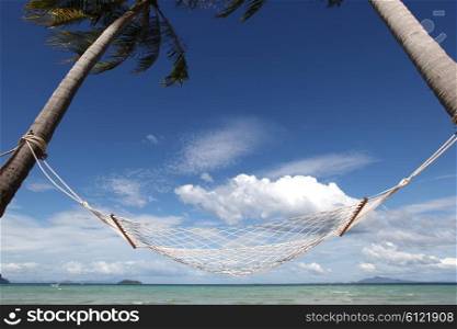 Empty hammock on beach. Empty hammock between palm trees on tropical beach