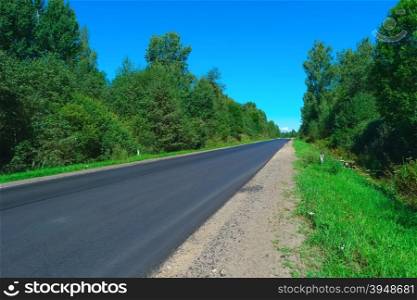Empty highway with green forest on both sides. Empty highway and green forest