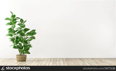 Empty interior background, room with white wall, vase with plant 3d rendering