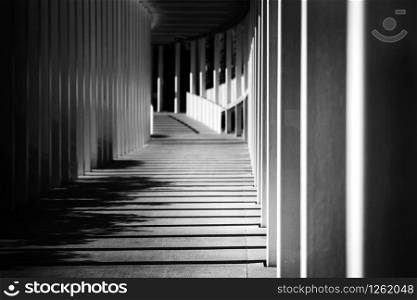 Empty Modern Hallway City with Morning Sun Light. Urban Background. Black and White