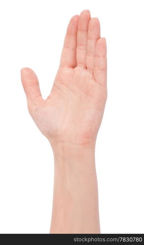 Empty open woman hand on white background