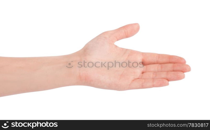 Empty open woman hand on white background