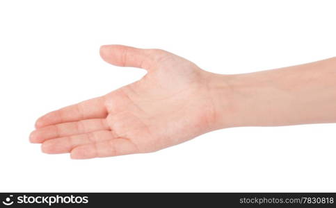 Empty open woman hand on white background