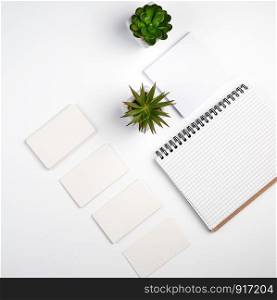 empty paper rectangular business business cards, open notebook and pots with green plants on a white table, top view