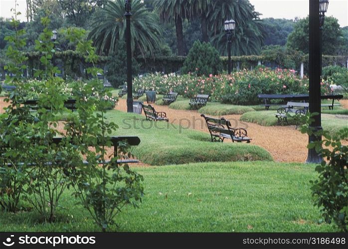 Empty park benches in a garden
