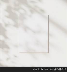 empty poster mock up with leaves shadows and sunlight on neutral white wall background, 3d illustration