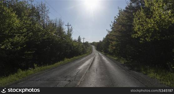 Empty road amidst trees in forest, Cape Breton Island, Nova Scotia, Canada