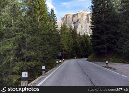 empty road at the mountains through the pine forest. dolomites mountains, italy