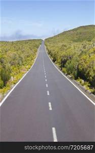 Empty road on Paul da Serra plateau on the island of Madeira, Portugal.