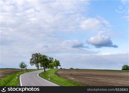 Empty road passing through agricultural fields under the blue sky with white clouds