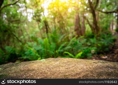 Empty rock table for product display in jungle of Tasmania, Australia. Nature product advertisement concept.