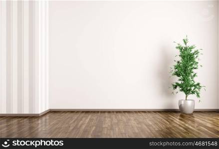 Empty room interior background with plant 3d rendering