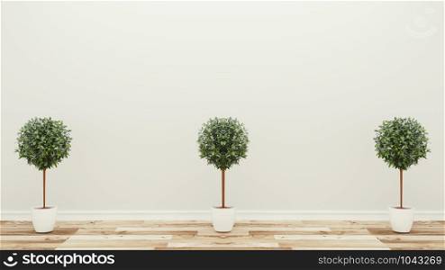 empty room,three plants,tropical modern empty room. 3D rendering