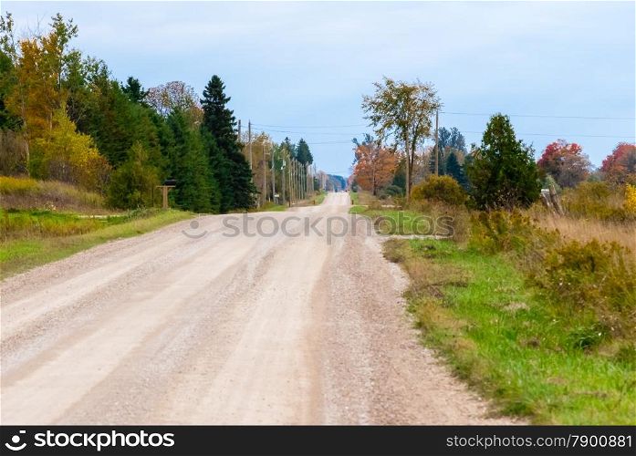 Empty rural country dirt road with trees and shrubs.