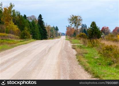 Empty rural country dirt road with trees and shrubs.